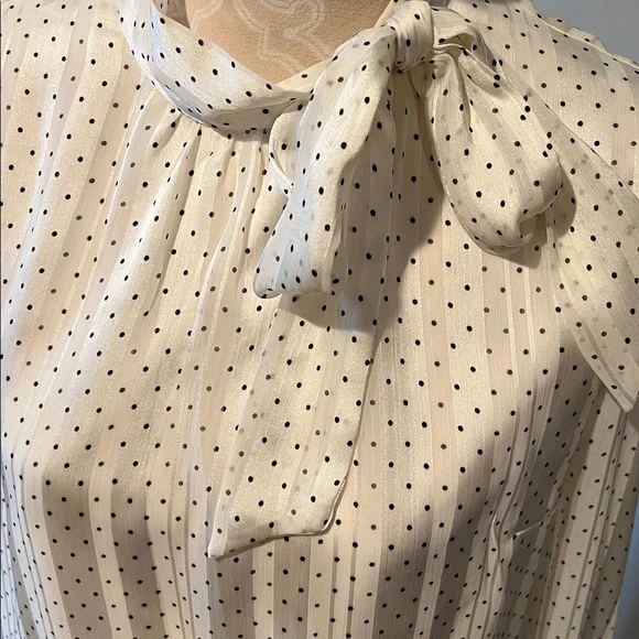 Polka dot blouse - Picture 2 of 3